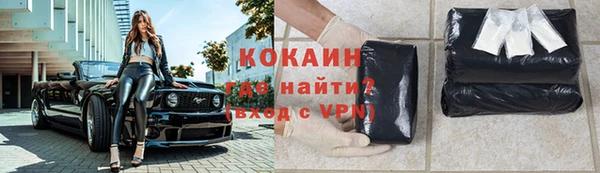 молекула духа Богданович
