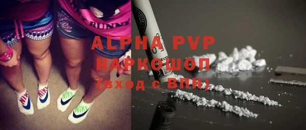 молекула духа Богданович