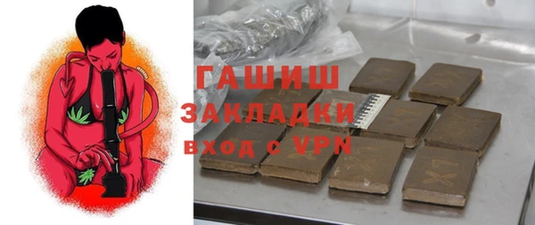 молекула духа Богданович