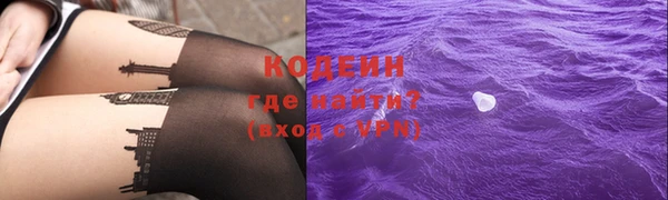молекула духа Богданович
