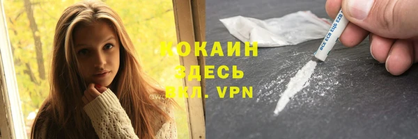 spice Богородск