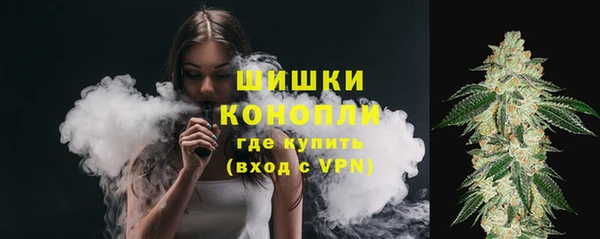 молекула духа Богданович