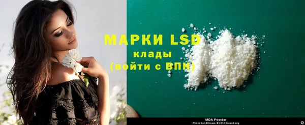 молекула духа Богданович