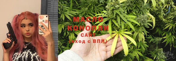 молекула духа Богданович
