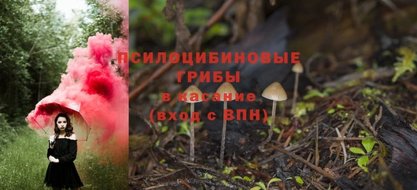 spice Богородск