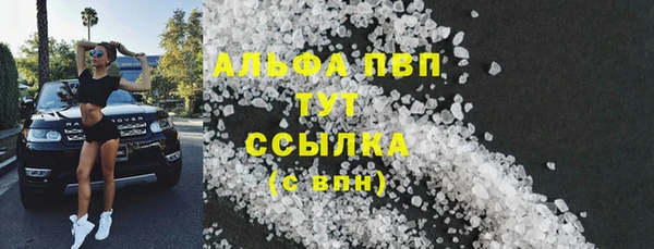 молекула духа Богданович