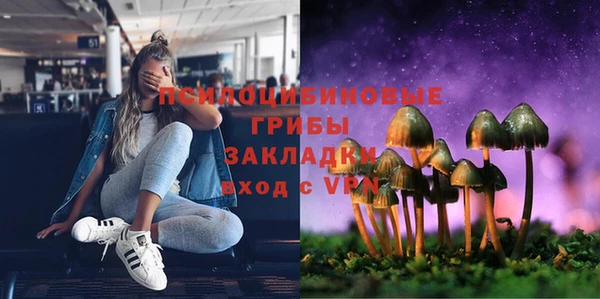 spice Богородск