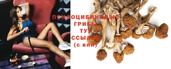 молекула духа Богданович