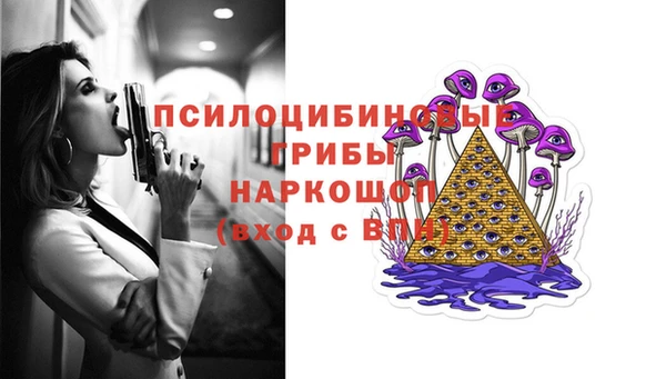 spice Богородск