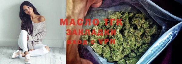 молекула духа Богданович