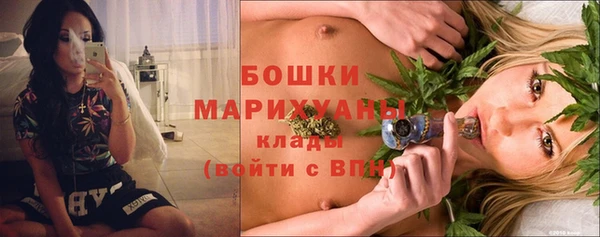 spice Богородск