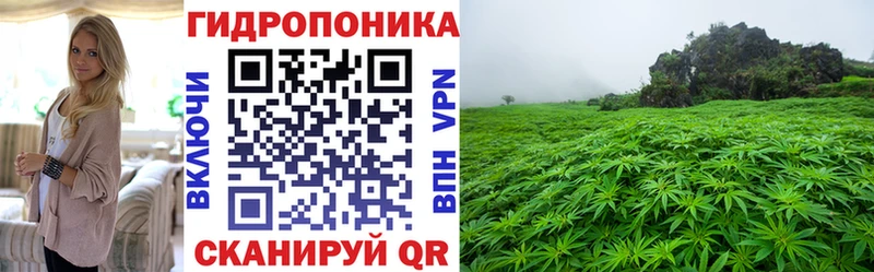 купить наркотики цена  Нытва  Каннабис MAZAR 